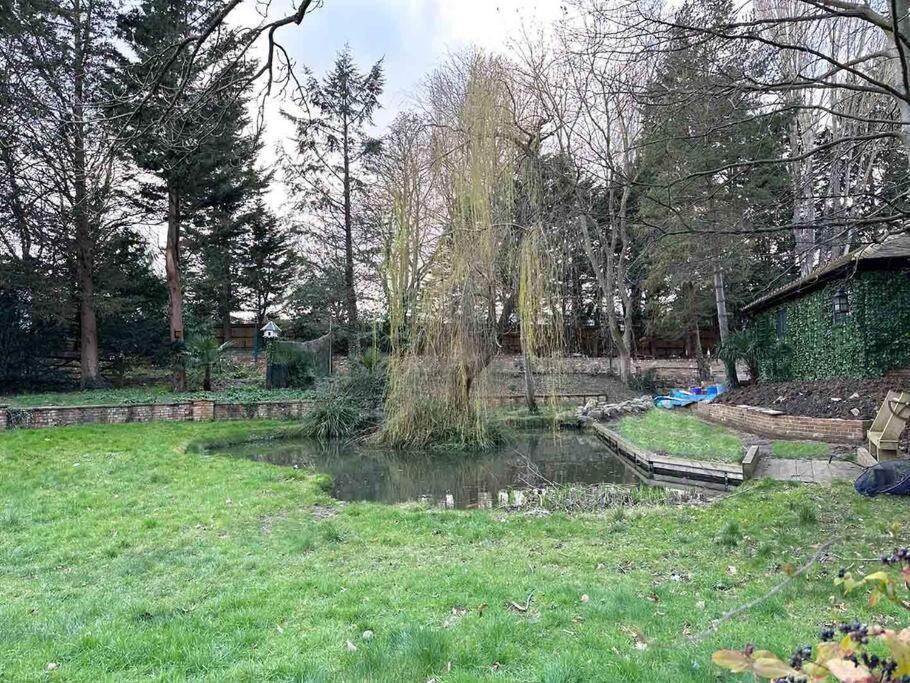 Forest Studio Apt Free Gated Parking On 2 Acres Garden Chislehurst Exterior foto