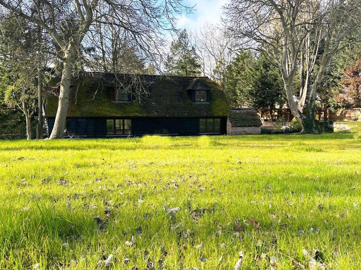 Forest Studio Apt Free Gated Parking On 2 Acres Garden Chislehurst Exterior foto